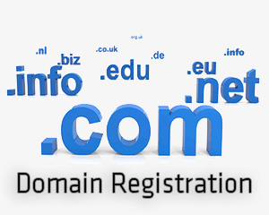  DomainName Registrations 